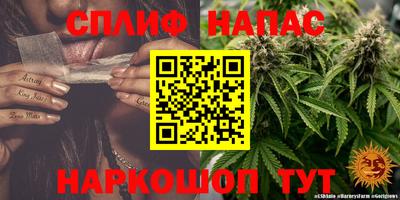 дживик Кунгур